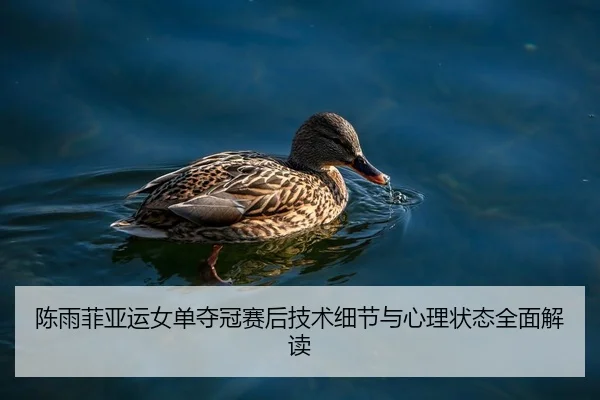 陈雨菲亚运女单夺冠赛后技术细节与心理状态全面解读 - wmsports